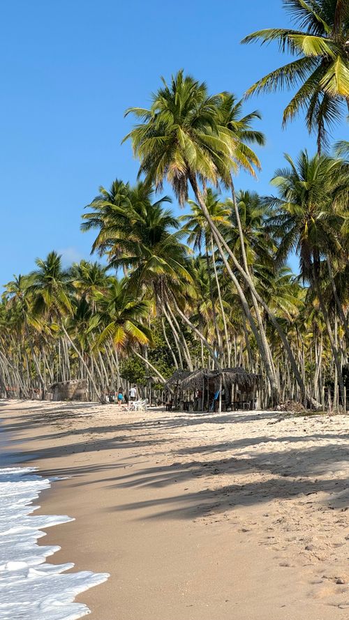Free A serene tropical beach with swaying palm trees and gentle waves. Perfect for a tranquil vacation. Stock Photo