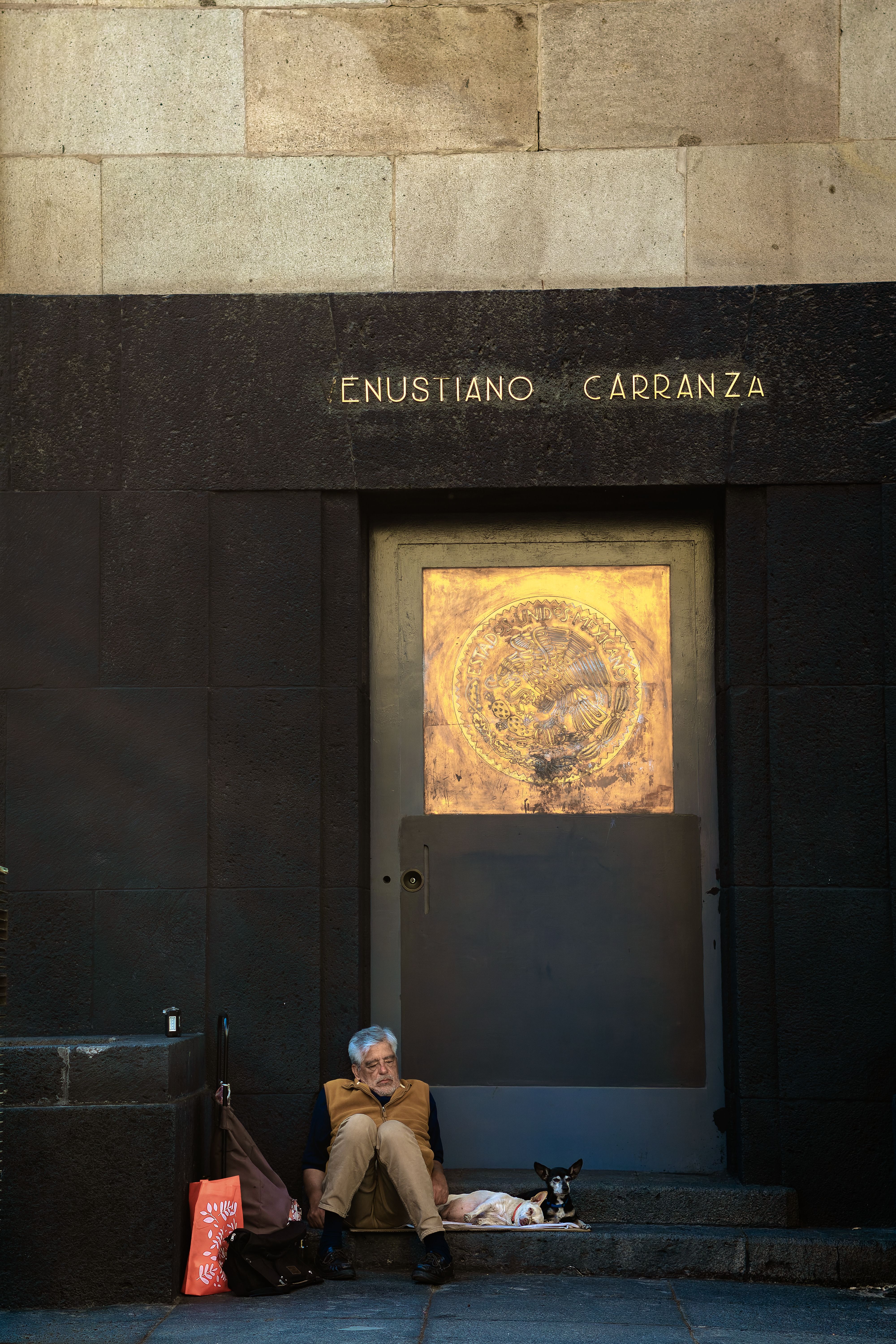 A man and dog resting by a historic building in Mexico City, capturing urban life.