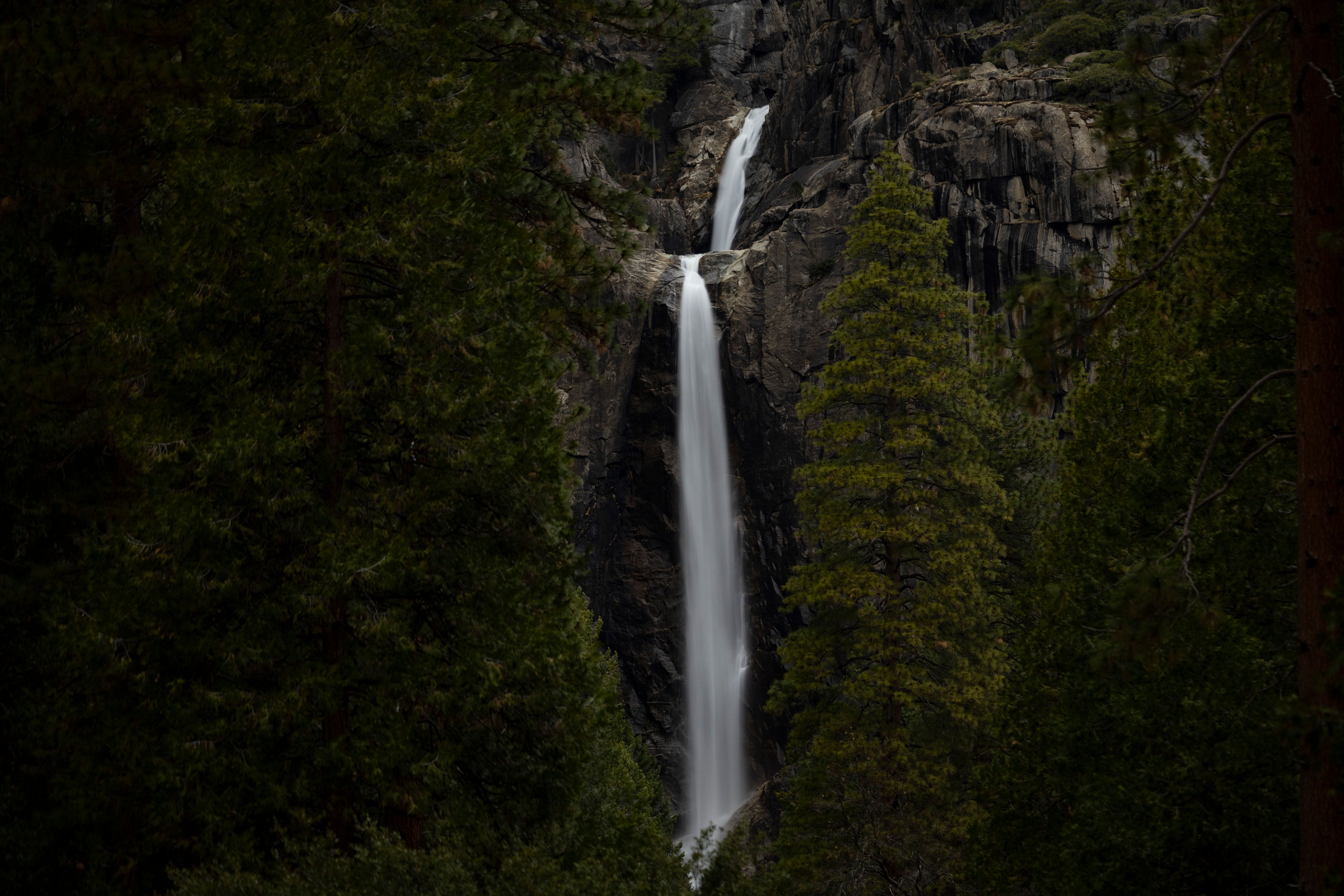 A waterfall is seen in the middle of a forest · Free Stock Photo