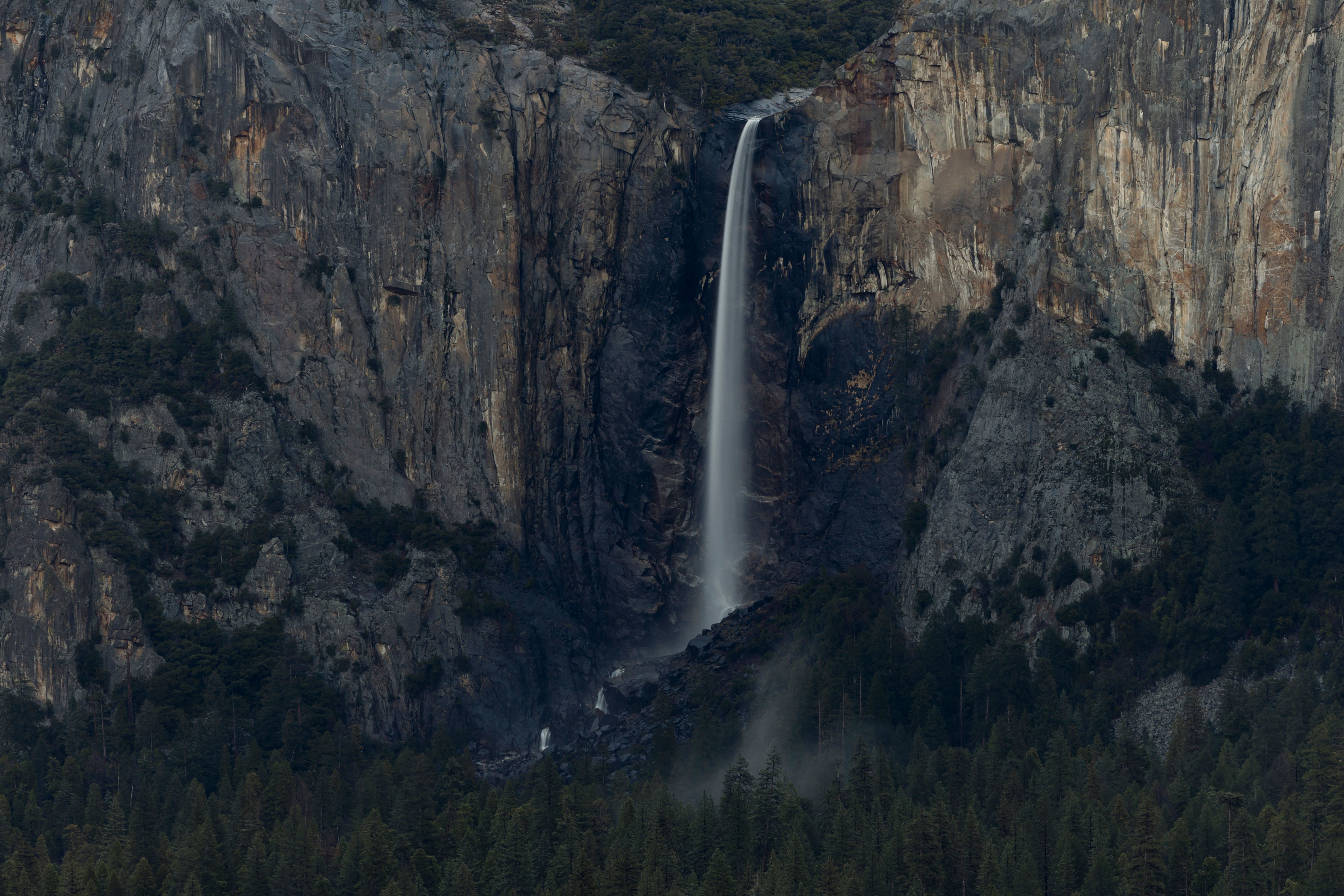 A waterfall is shown in the middle of a forest · Free Stock Photo