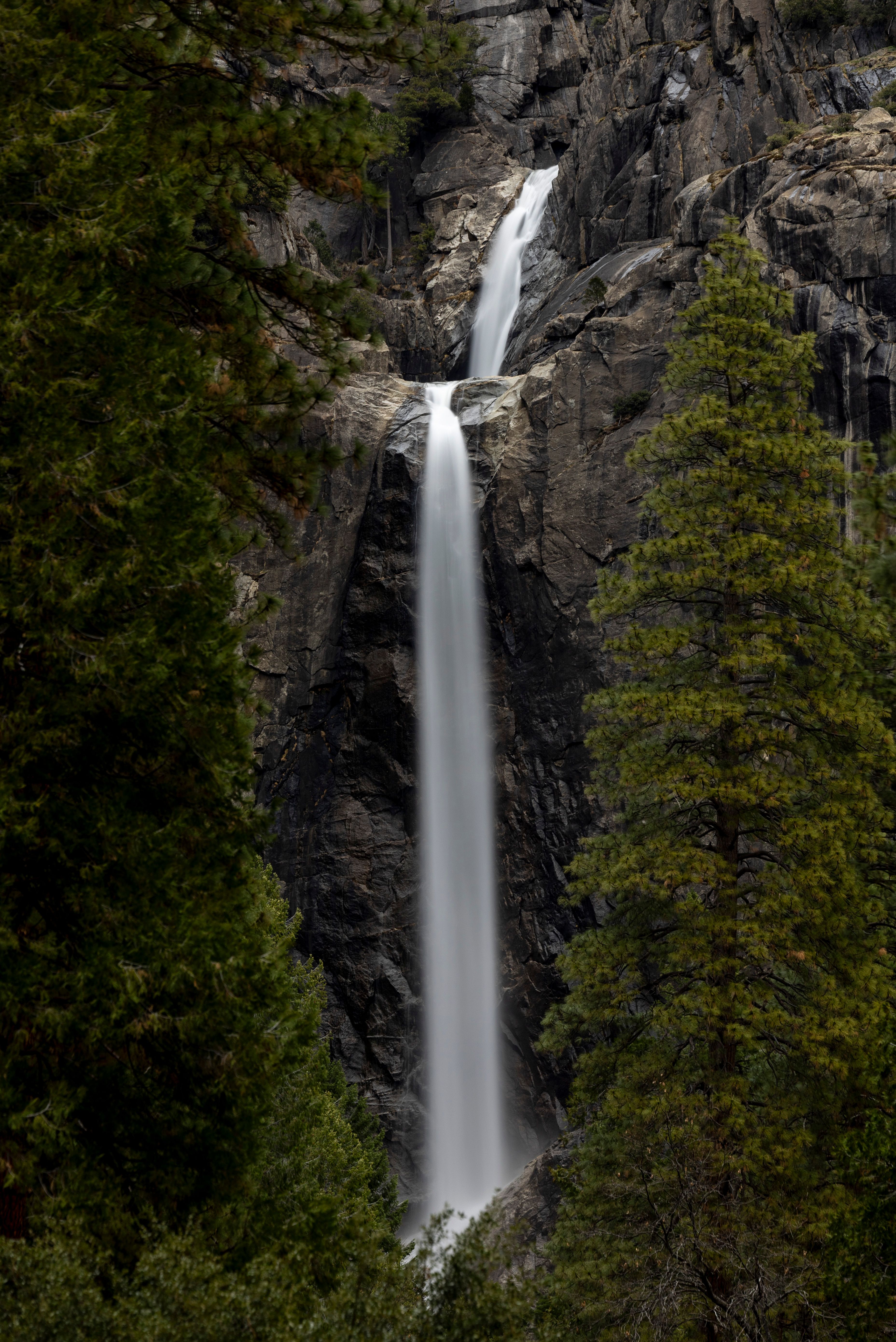 A waterfall is shown in the middle of a forest · Free Stock Photo