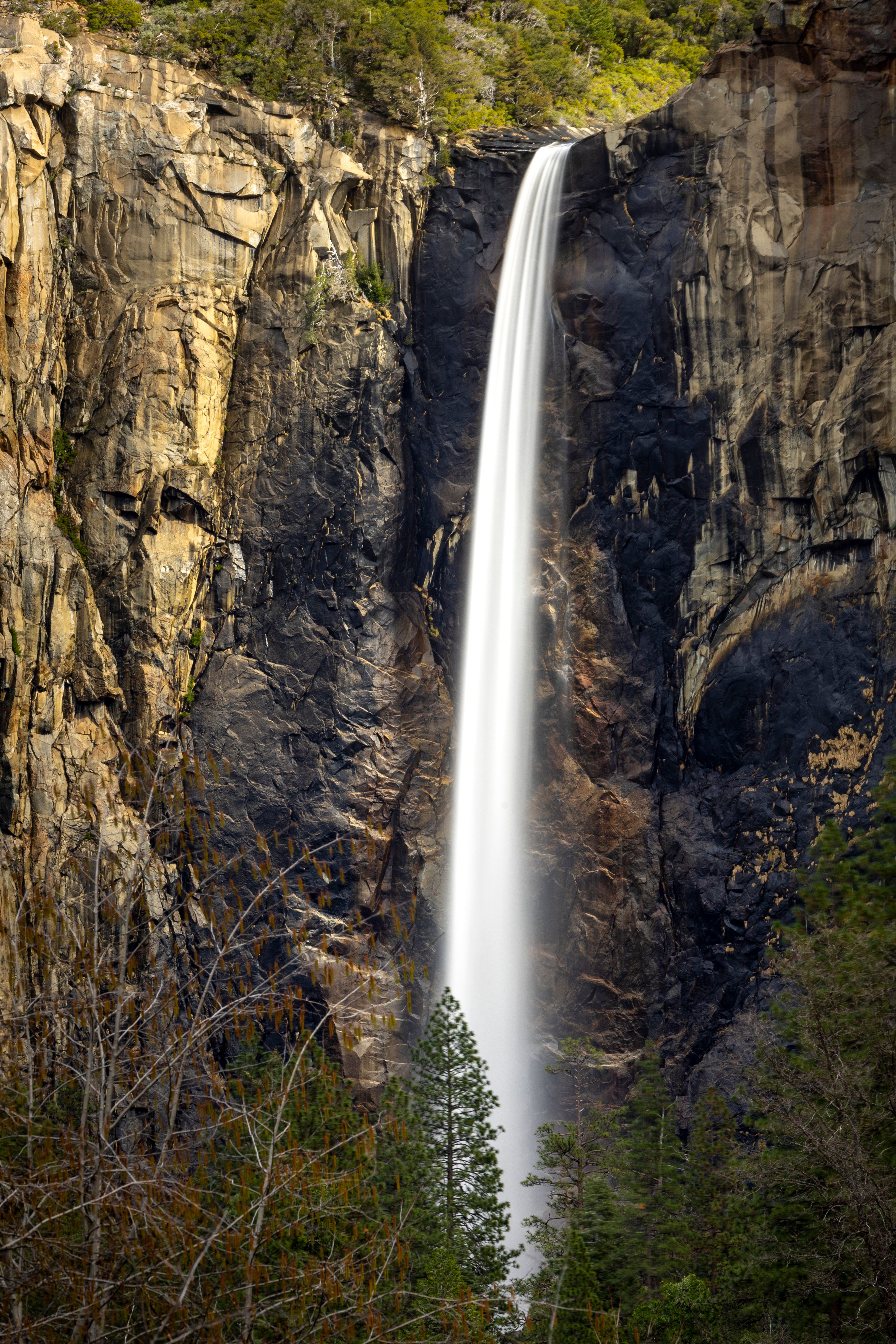 A waterfall is shown in the middle of a forest · Free Stock Photo