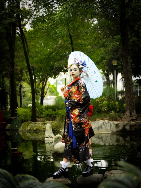 Fotomural Una geisha en un vibrante kimono con un paraguas se encuentra en un tranquilo jardín japonés.