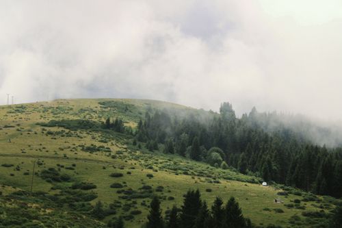 Free A tranquil mountain scene with mist, lush trees, and rolling hills under a cloudy sky. Stock Photo
