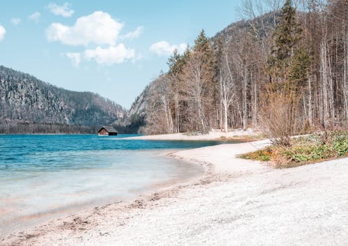 Kostnadsfri bild av 4k tapeter, bara träd, bergen