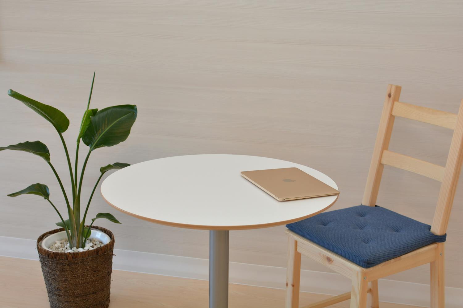 A sleek minimalist office space featuring a table with a laptop and a potted indoor plant beside a wooden chair