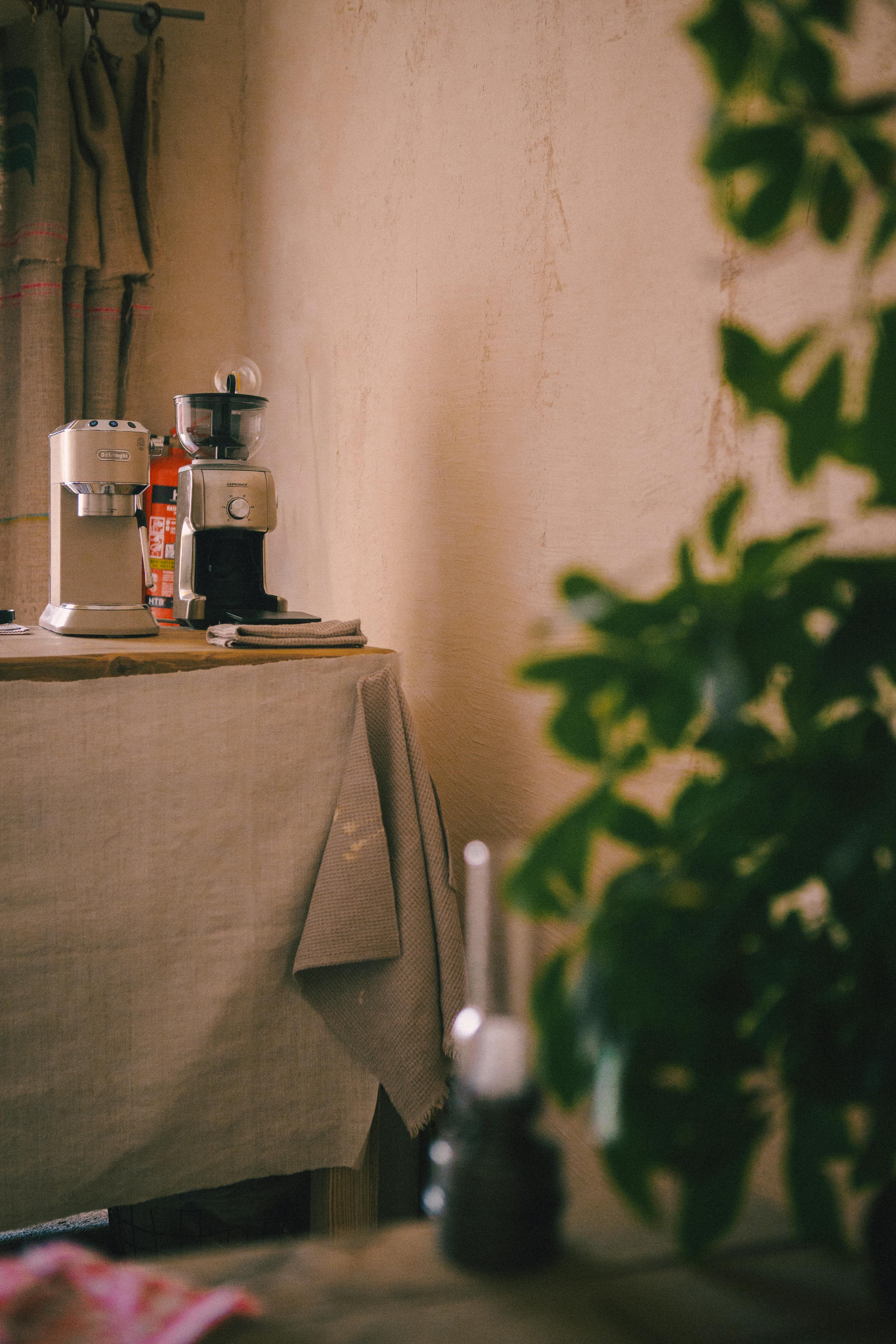 Bringing Bali Home: Tips for Brewing Balinese Coffee