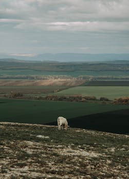 Image by Azamat Hatypov