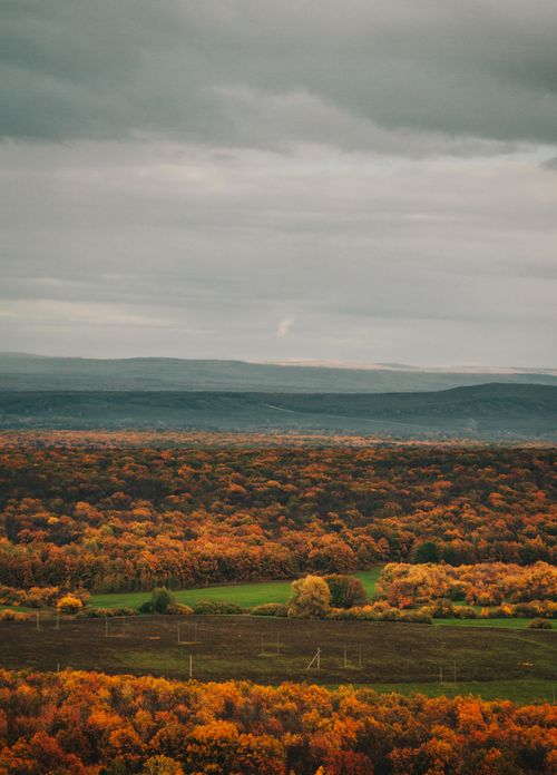 Free Tranquil autumn landscape in Bashkortostan with colorful foliage and expansive fields under cloudy skies. Stock Photo