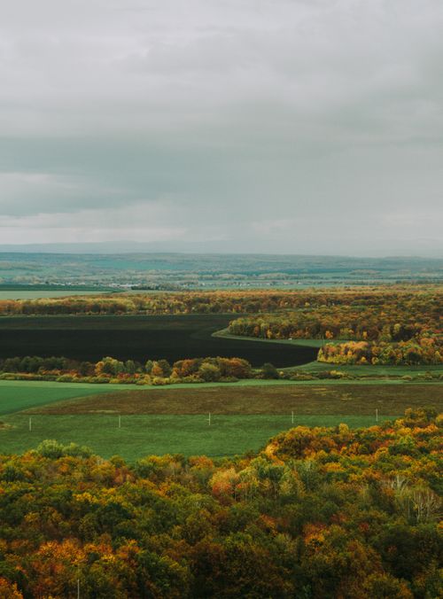 Free A breathtaking view of lush landscapes in Bashkortostan during the autumn season. Stock Photo