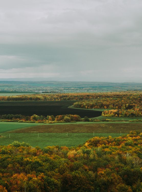 Field One Tree River And Rocks A view of a field with trees and a river · Free Stock Photo