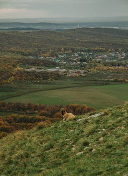 Image by Azamat Hatypov