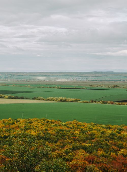 Free Beautiful autumn landscape in Bashkortostan with rolling hills and colorful foliage. Stock Photo