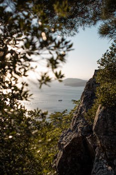 在土耳其伊斯坦布尔的悬崖上，透过郁郁葱葱的植被，可以欣赏到马尔马拉海令人惊叹的景色