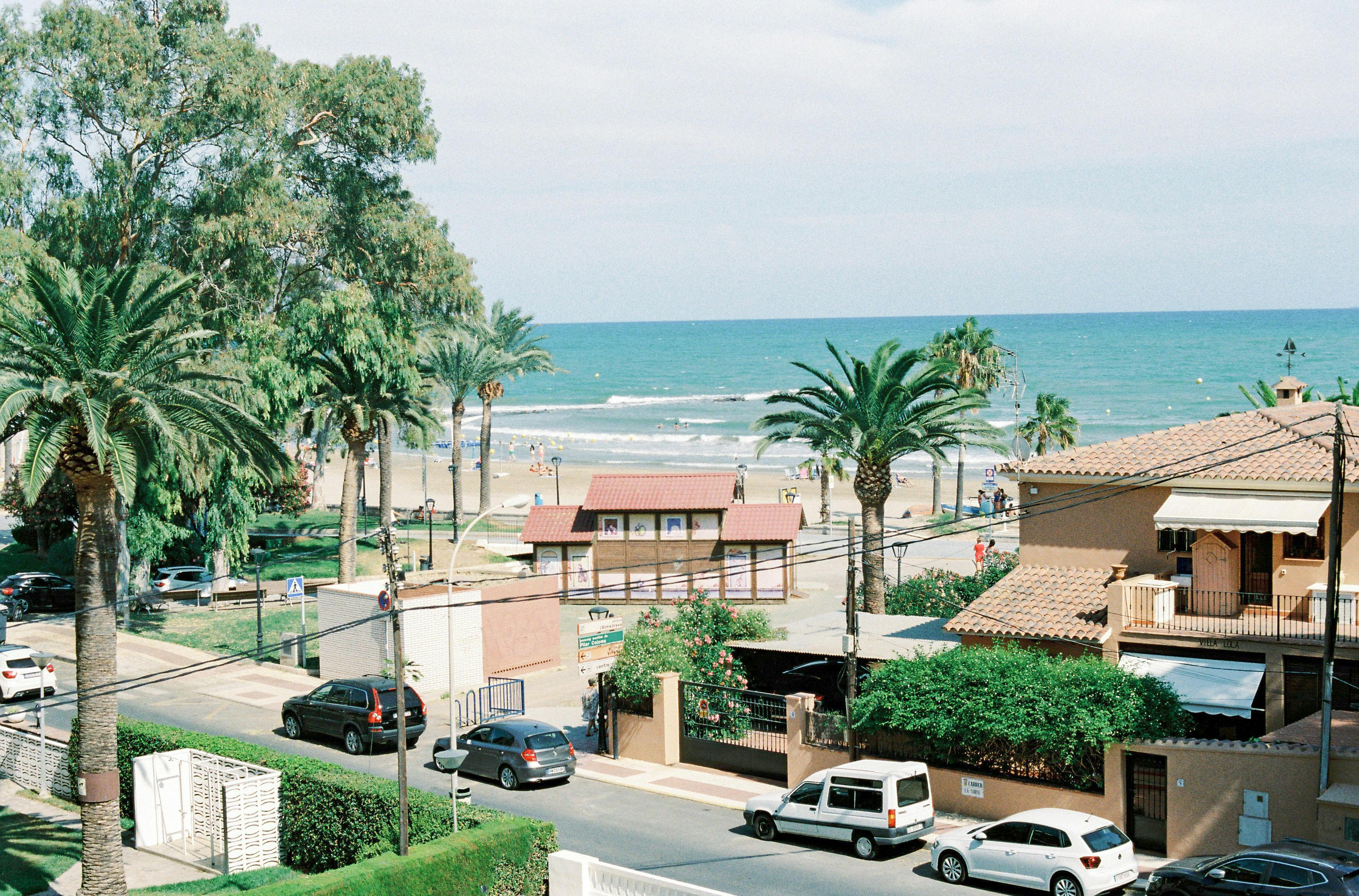 Beautiful view of Benicàssim's beachfront with palm trees and blue sea under a clear sky, perfect for vacation.