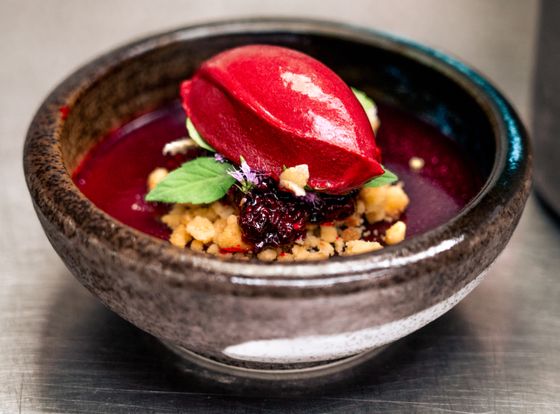 Glossy red raspberry sorbet quenelle on crumble and berries in a dark bowl of berry soup