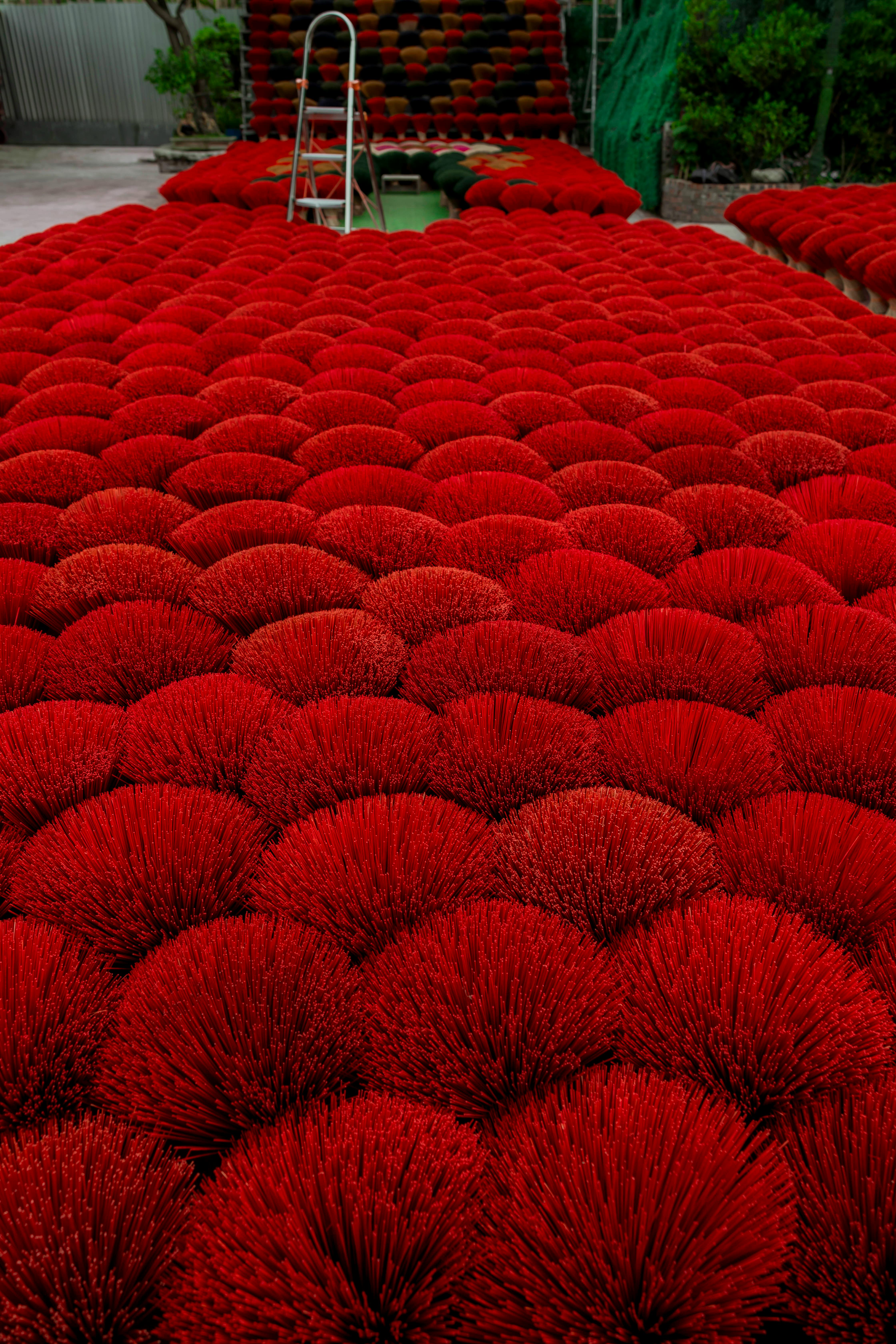A visually striking display of red incense sticks drying outdoors in a traditional arrangement.