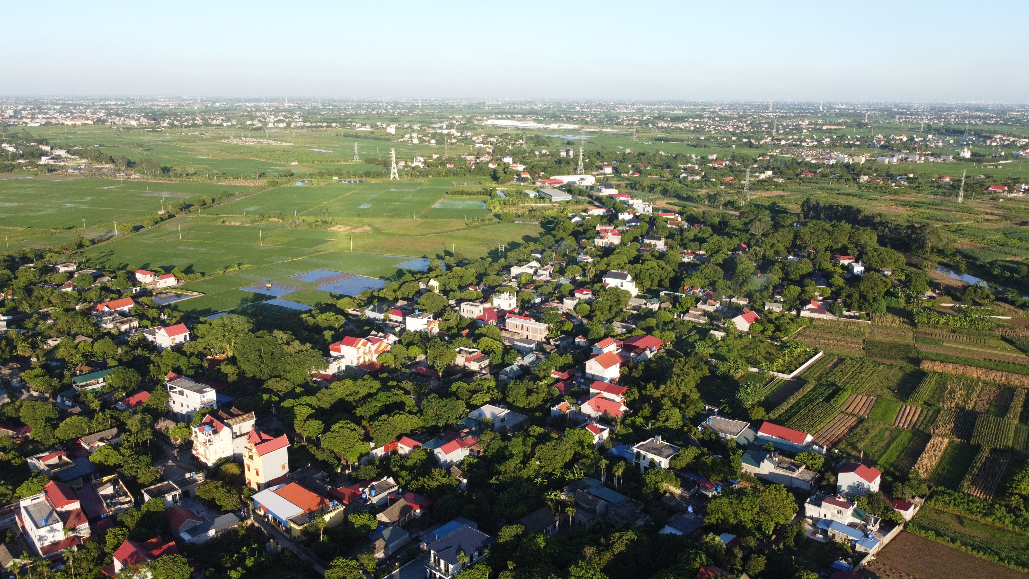Aerial view of vibrant Vietnamese village surrounded by lush fields during daytime.