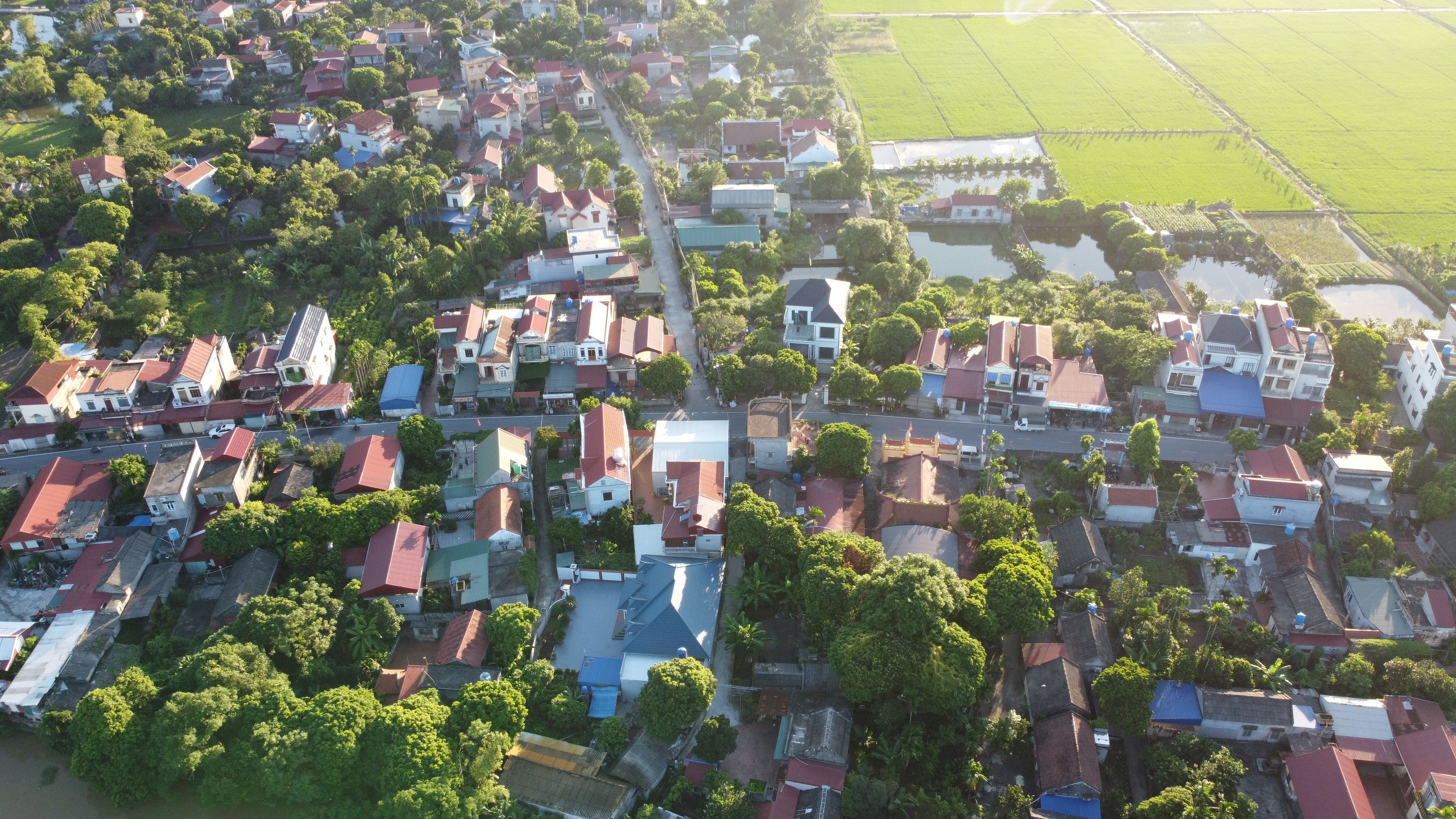 Aerial View of Green Landscape and Houses · Free Stock Photo