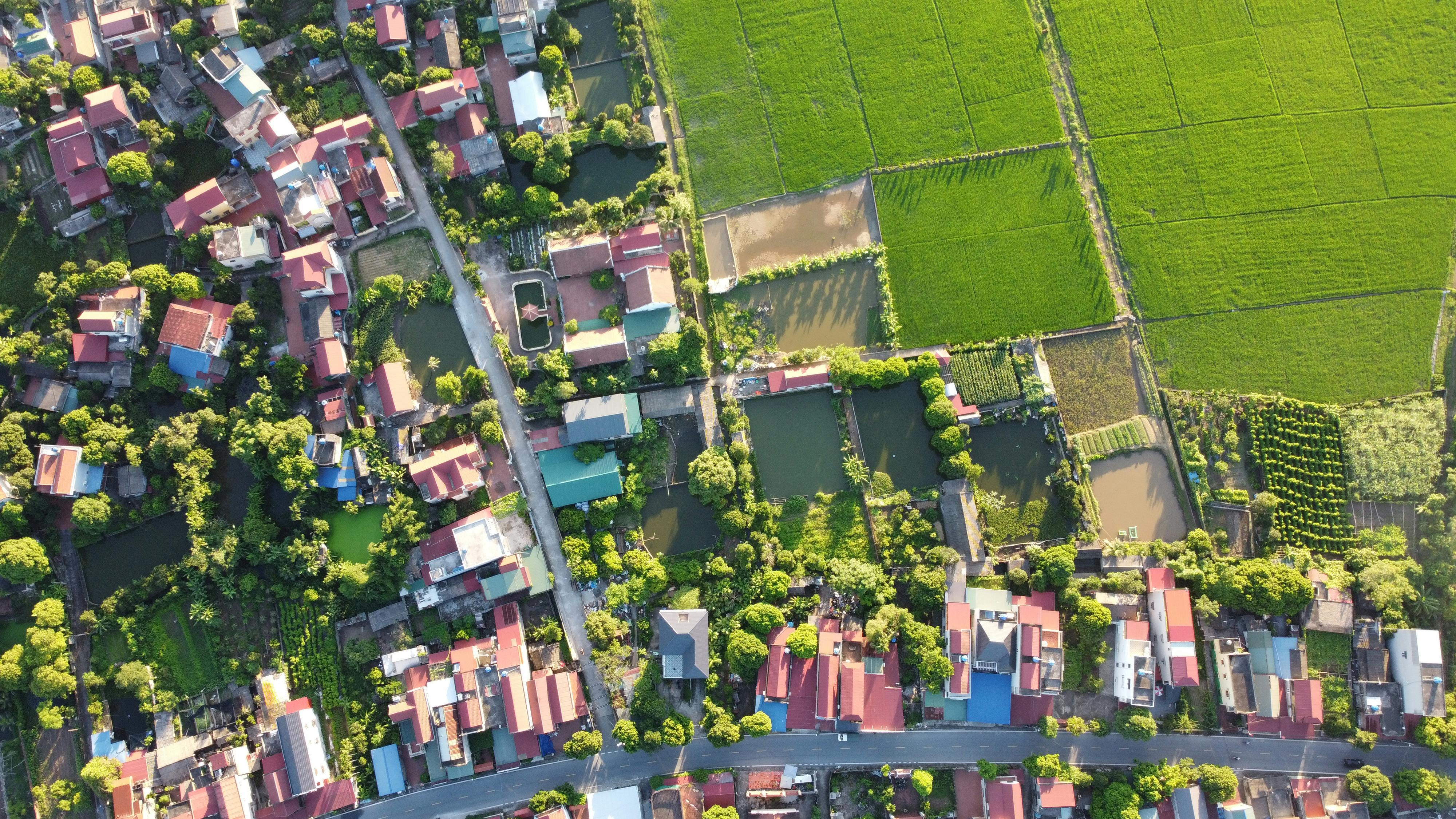 climate resilience — Photo by HONG SON on Pexels
