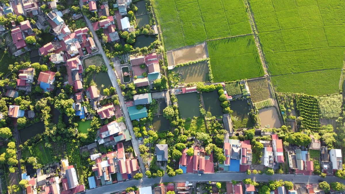 Trải nghiệm đồng quê Ninh Bình - đạp xe cho gia súc ăn cùng trẻ em
