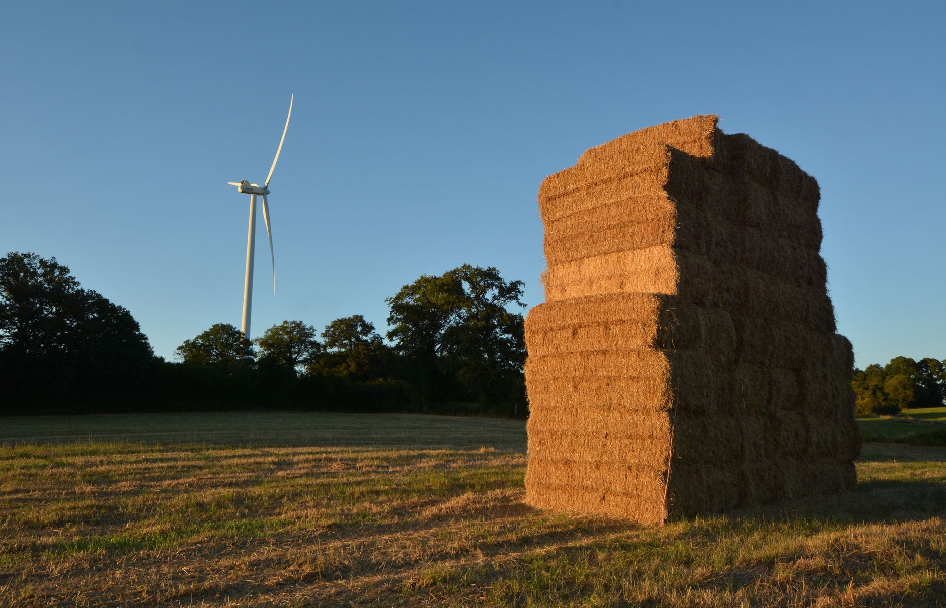 Vienne : Le préfet suspend temporairement le projet éolien de Cernay