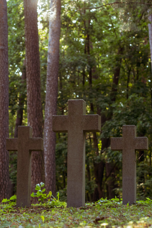 Free Peaceful cemetery with three crosses surrounded by lush trees in Vilnius, Lithuania. Stock Photo