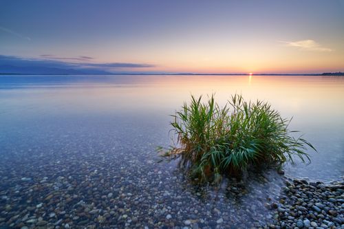 Free Serene sunset over Chiemsee lake with pebbles and grass in view, perfect for nature lovers. Stock Photo