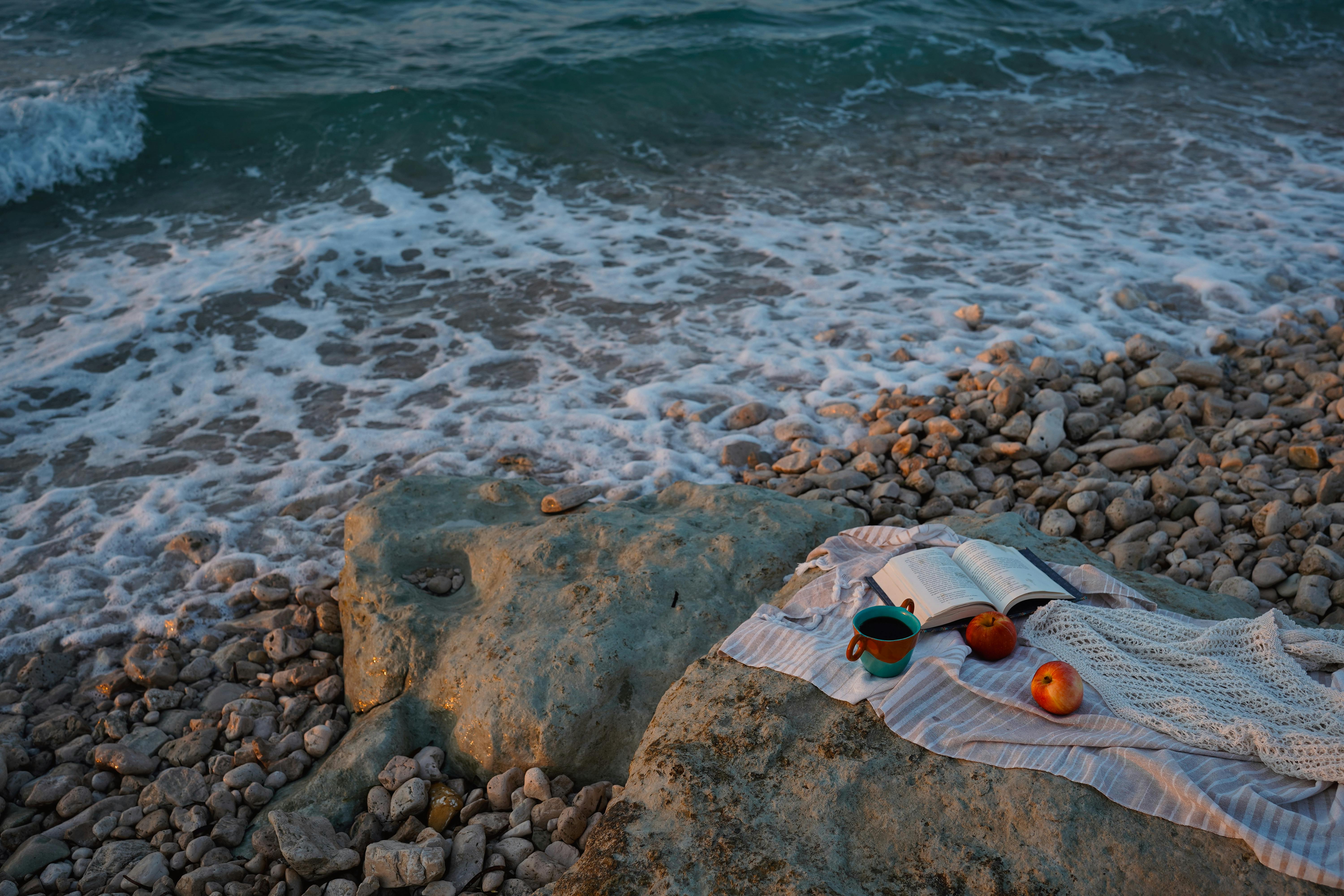 Peaceful beachside setting with open book, coffee, and apples on a rocky shore at sunset.