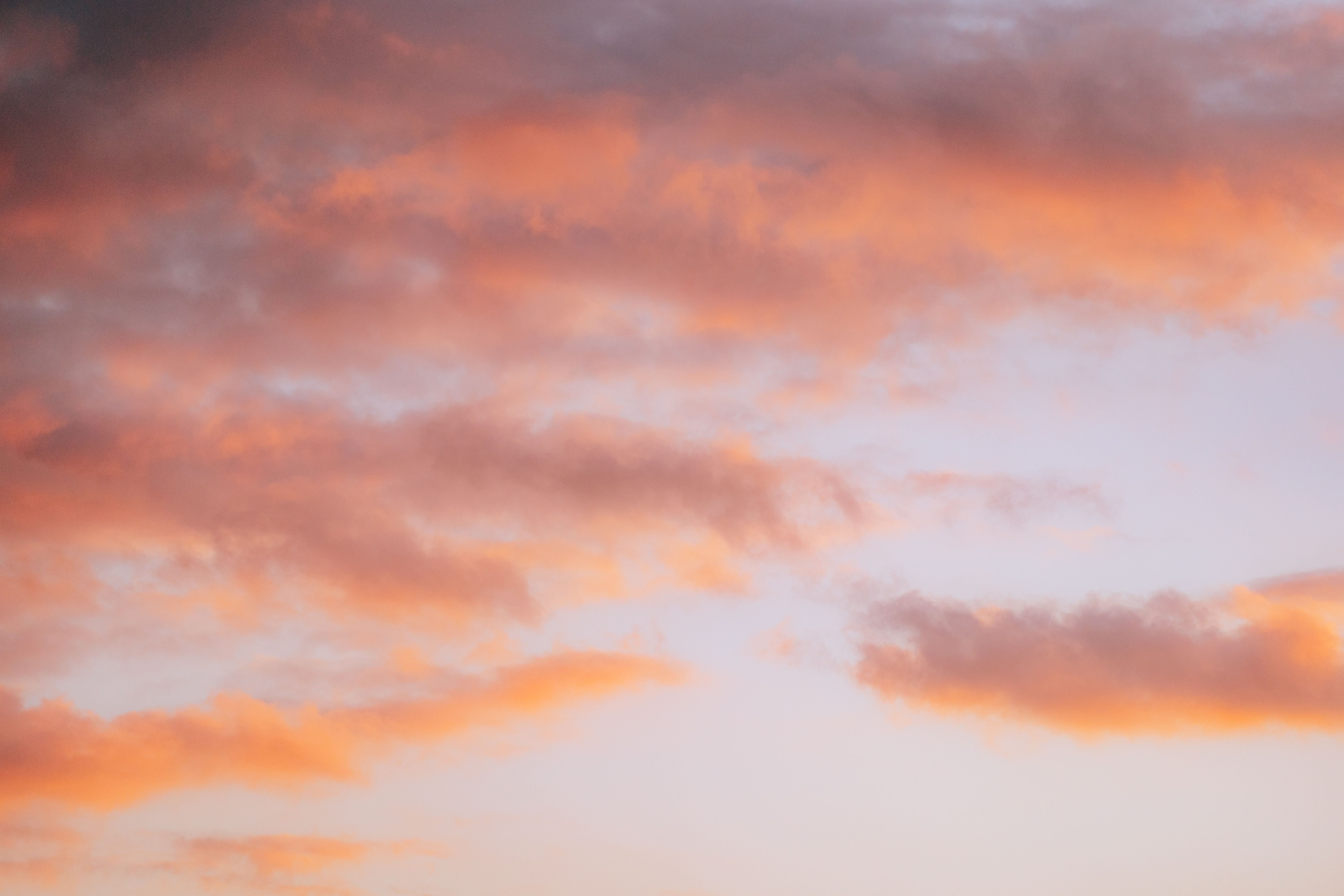 Pink and amber sunset sky — photo by Diogo Miranda on Pexels