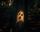 dark forest