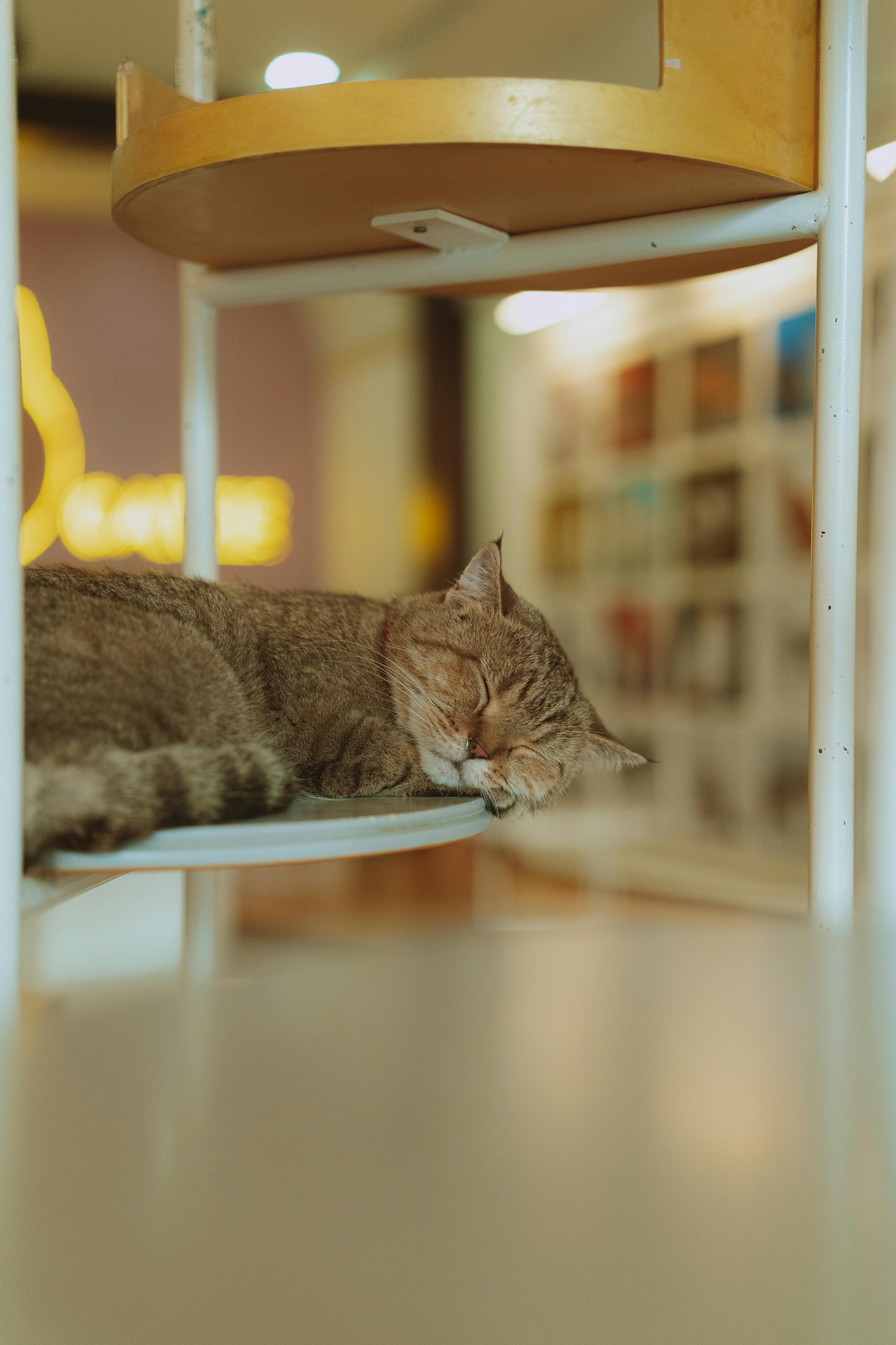 Fm88 hỗ trợ nhiều phương thức nạp tiền linh hoạt và nhanh chóng - Khám Phá Thế Giới Đặt Cược Thú Vị