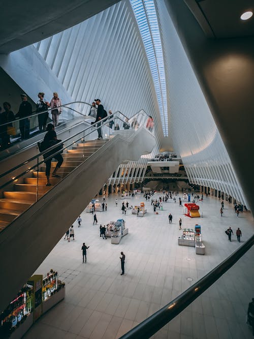 People on Escalator Inside White Building