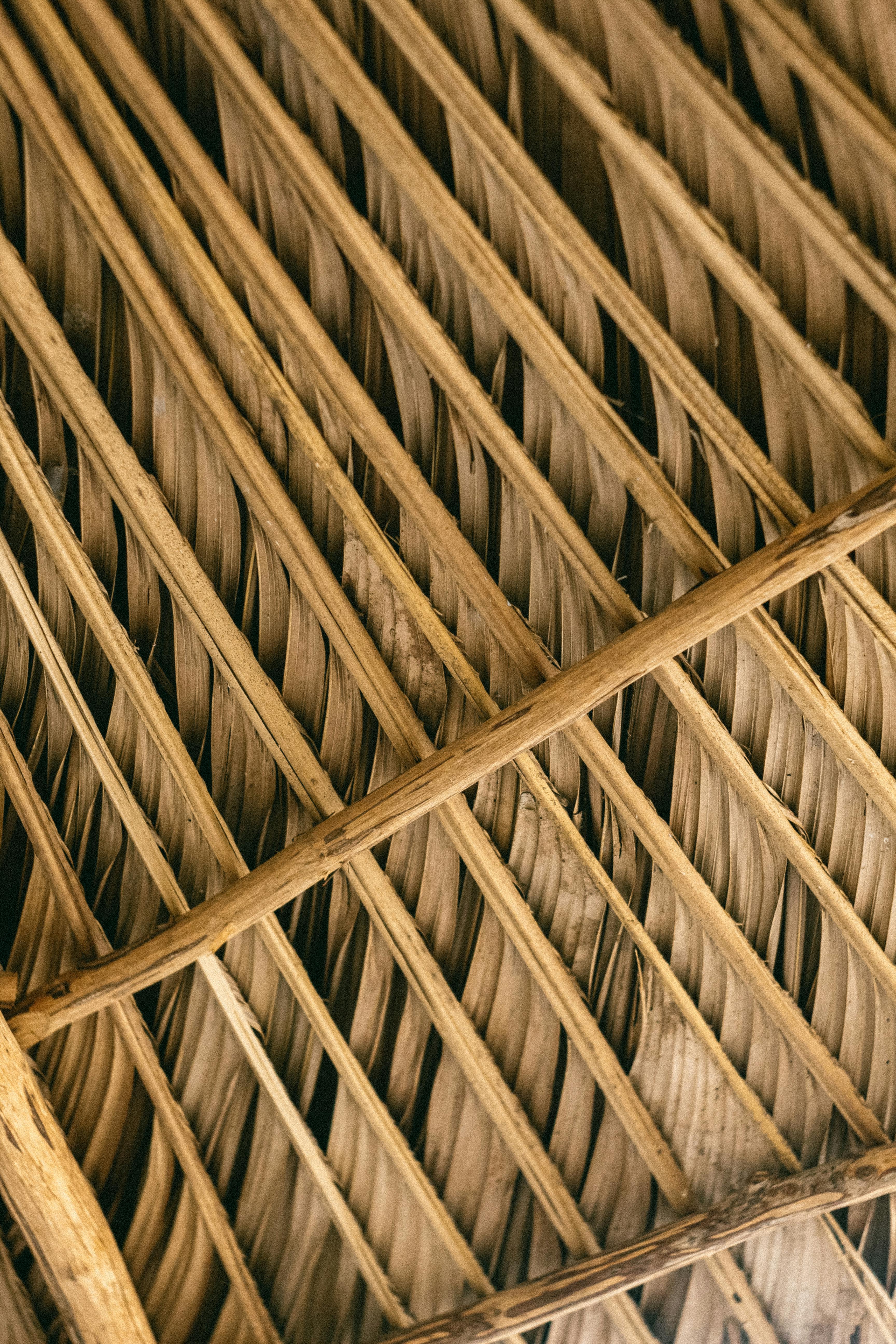 the roof of a hut with wooden slats