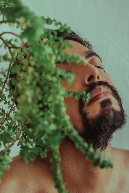 Free Artistic portrait of a young man intertwined with vibrant green foliage. Stock Photo