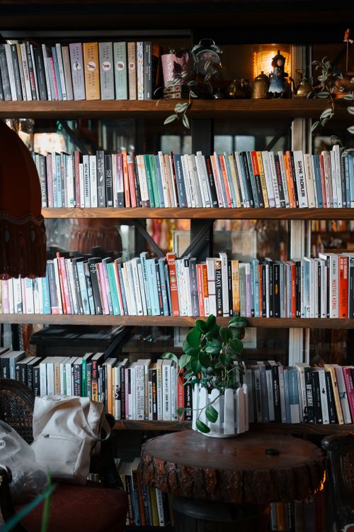 Free A beautifully organized bookcase in a cozy home library, promoting warm and intellectual atmosphere. Stock Photo