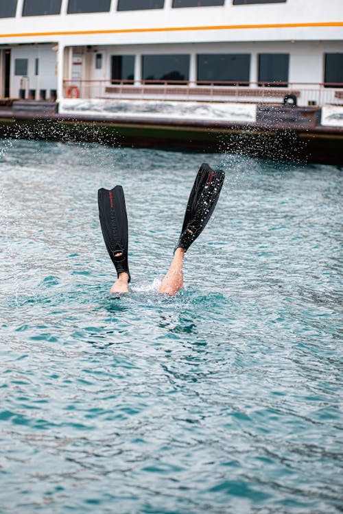 Pair of Black Flippers