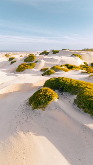 Discover the breathtaking dunes of Malindi, Kenya, with lush vegetation under a clear sky.