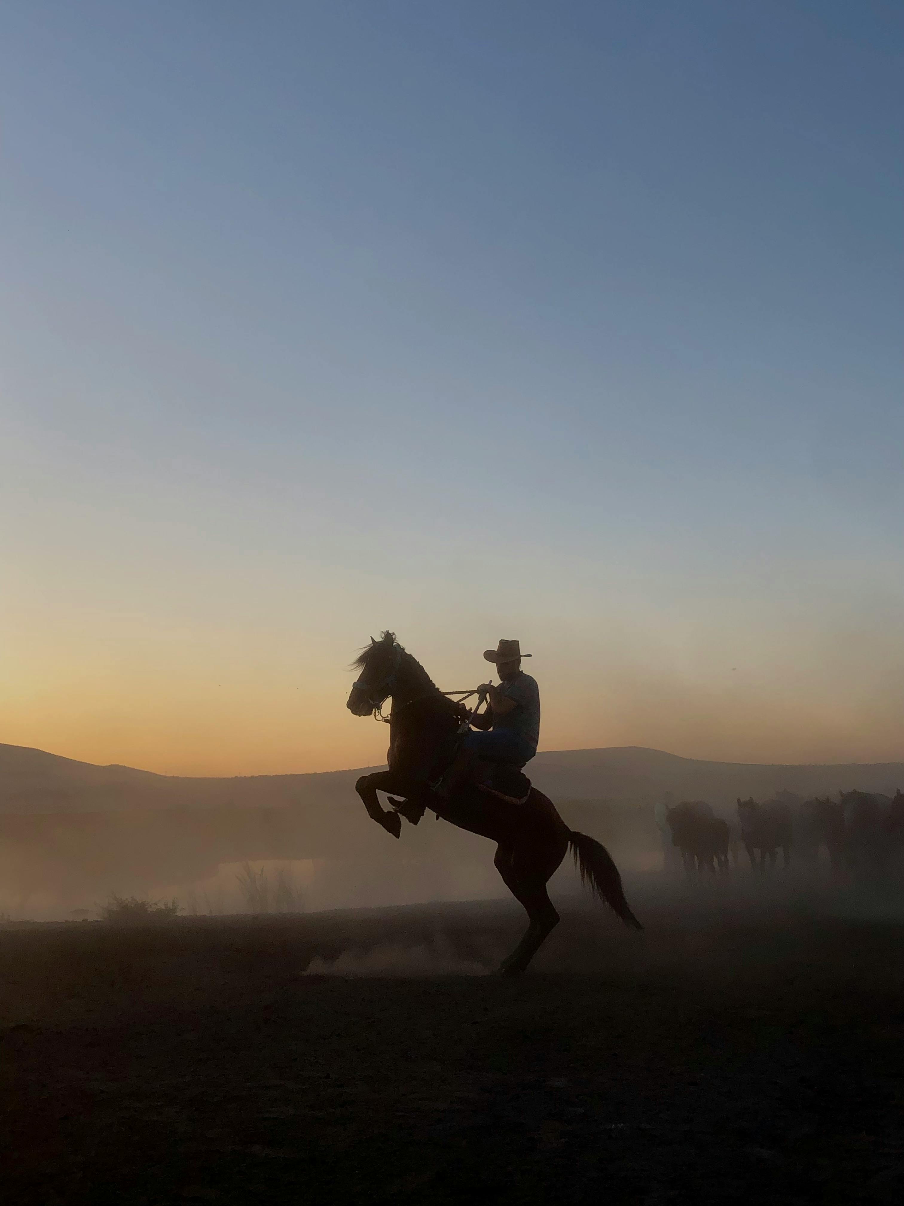 a cowboy rides his horse at sunset in a field