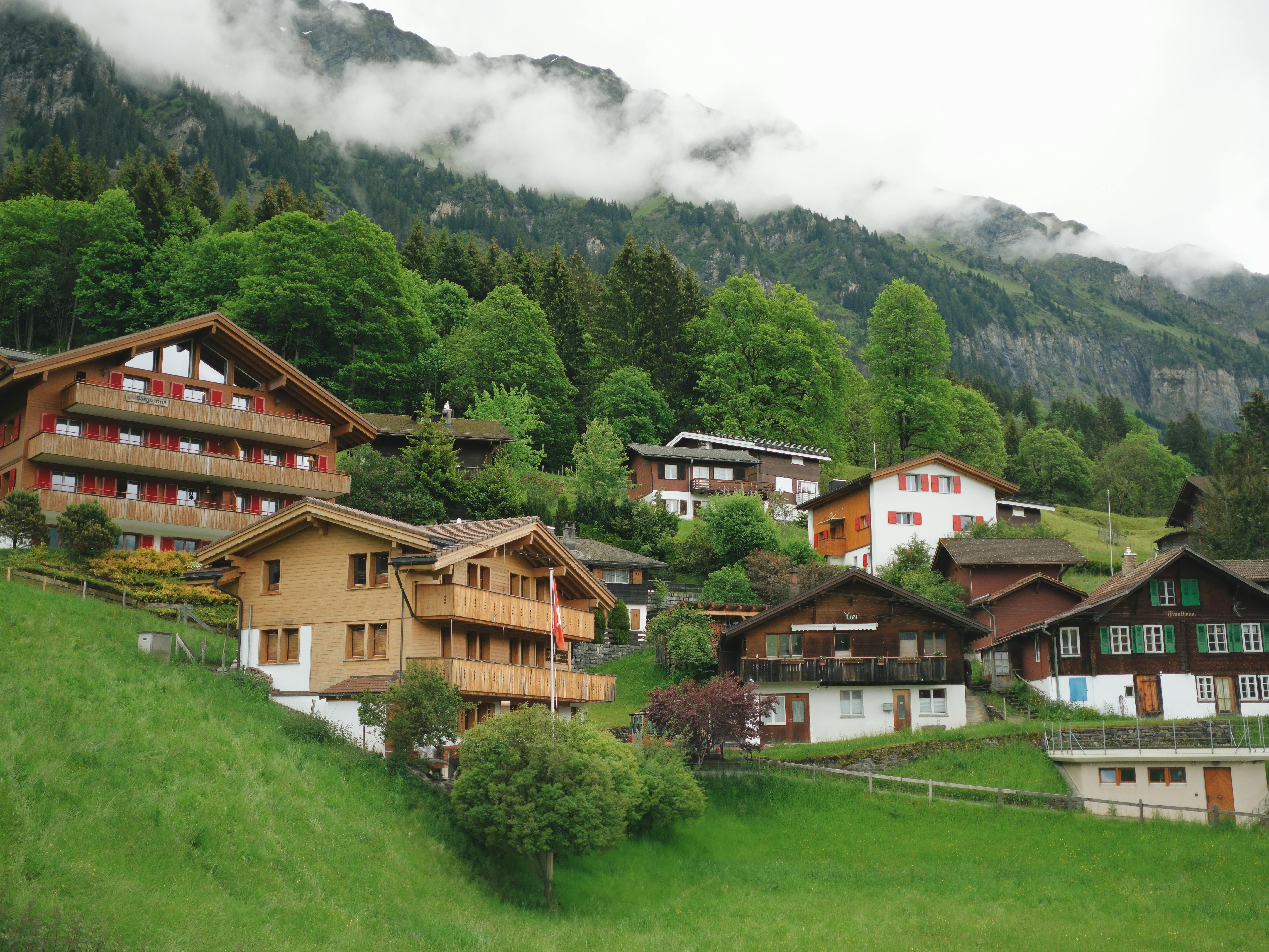 A mountain village with many houses and trees · Free Stock Photo