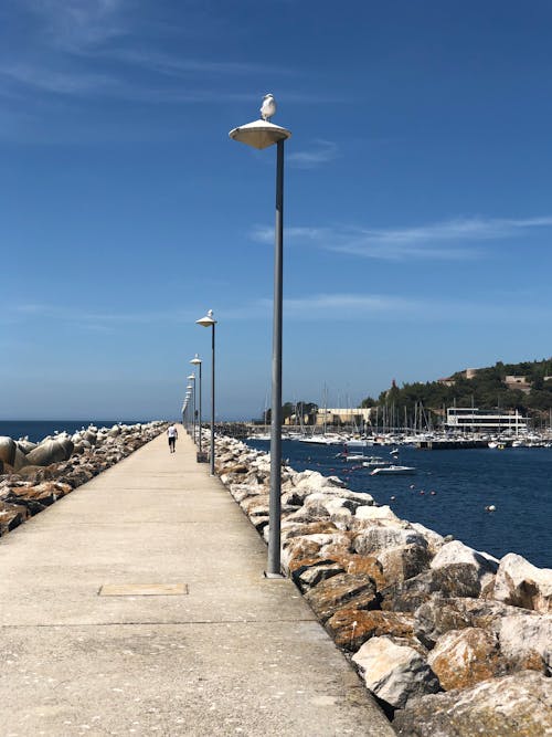 Free stock photo of boats, foot path, gulls