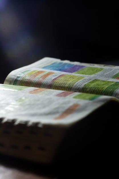 Free stock photo of bible, book, holy bible