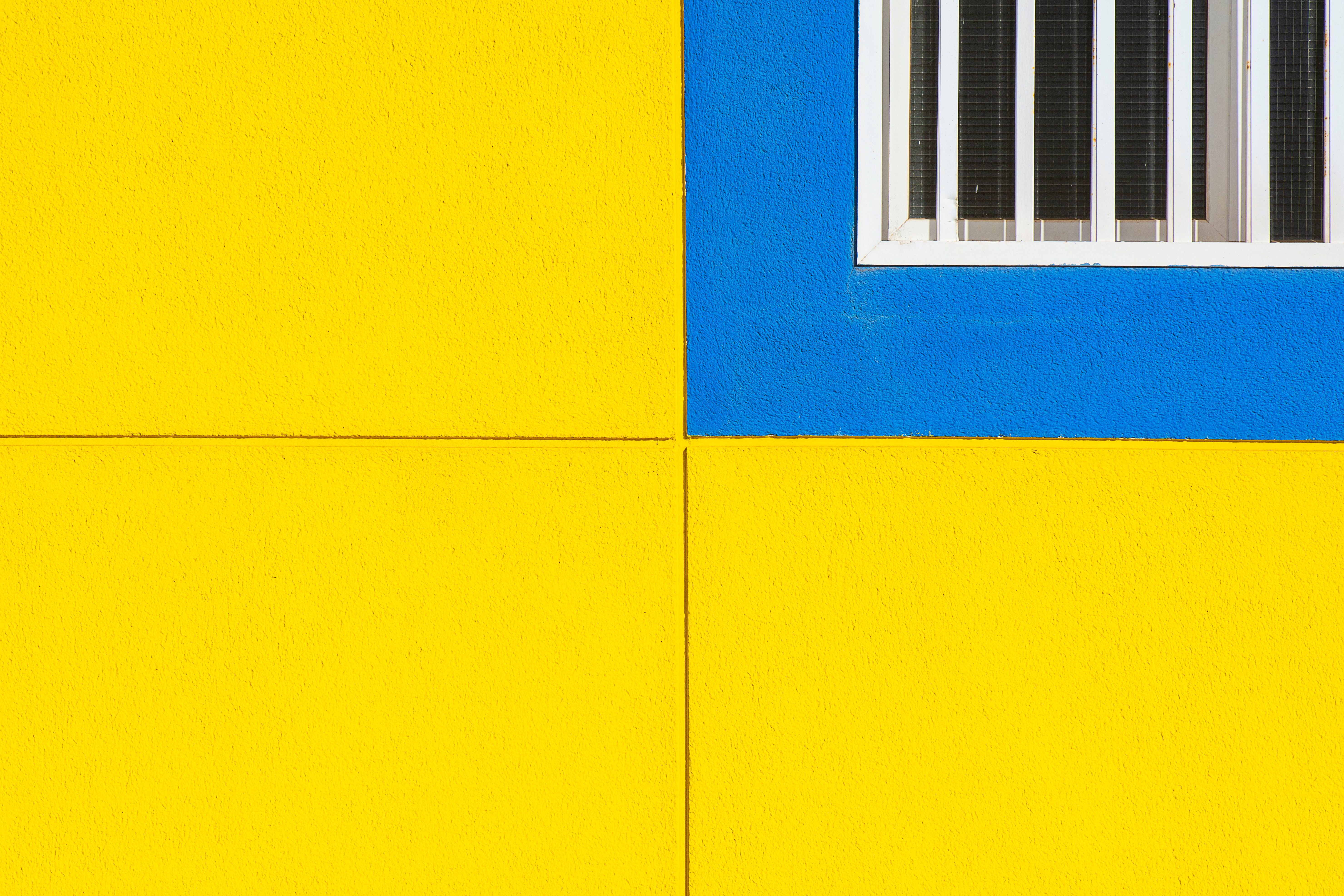 Color Block Photos, Download The BEST Free Color Block Stock Photos ...