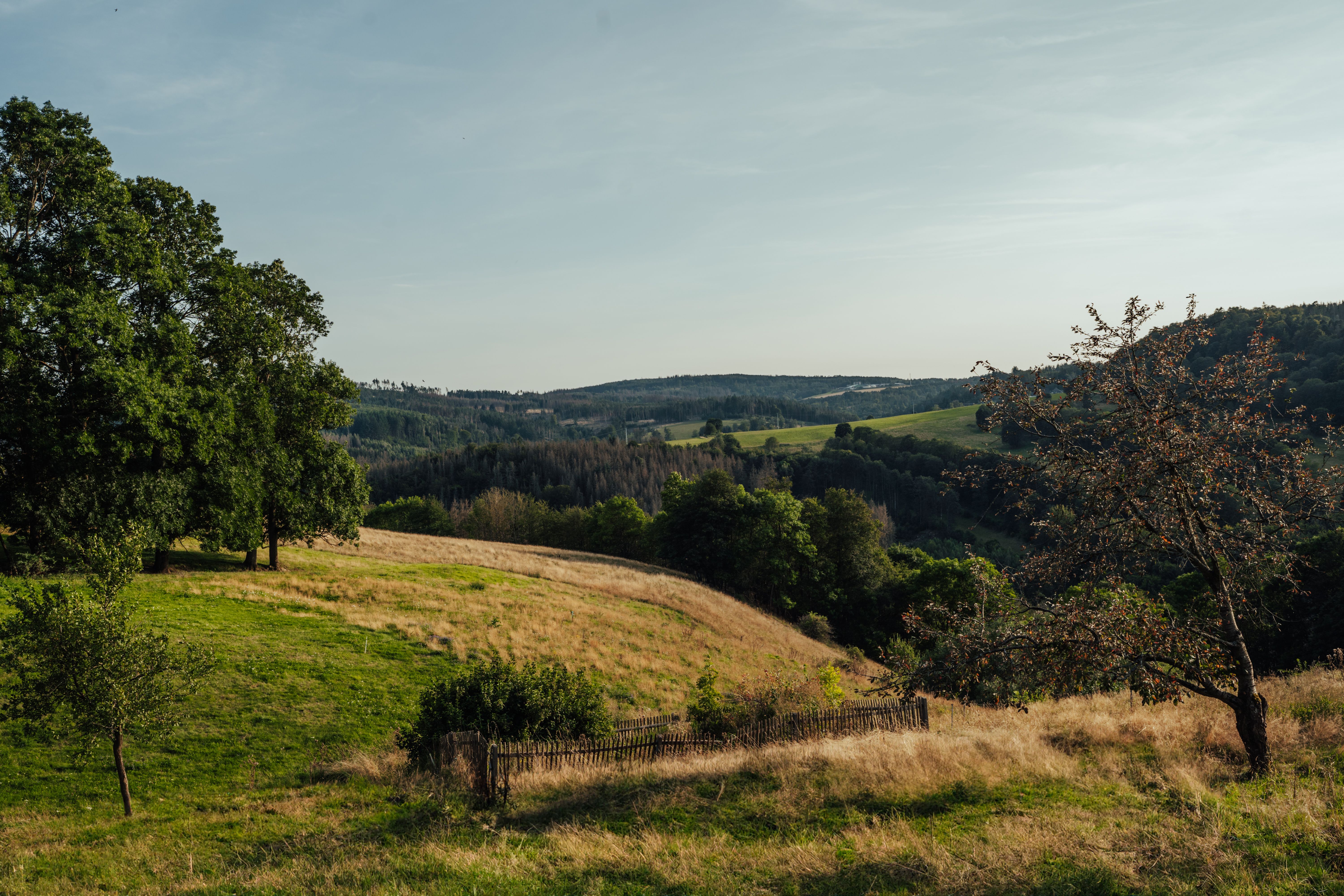 Moravian Wine Region