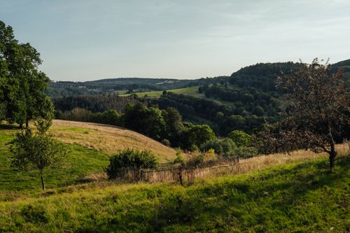 Free A beautiful rural scene showcasing rolling hills and lush greenery in a serene summer setting. Stock Photo