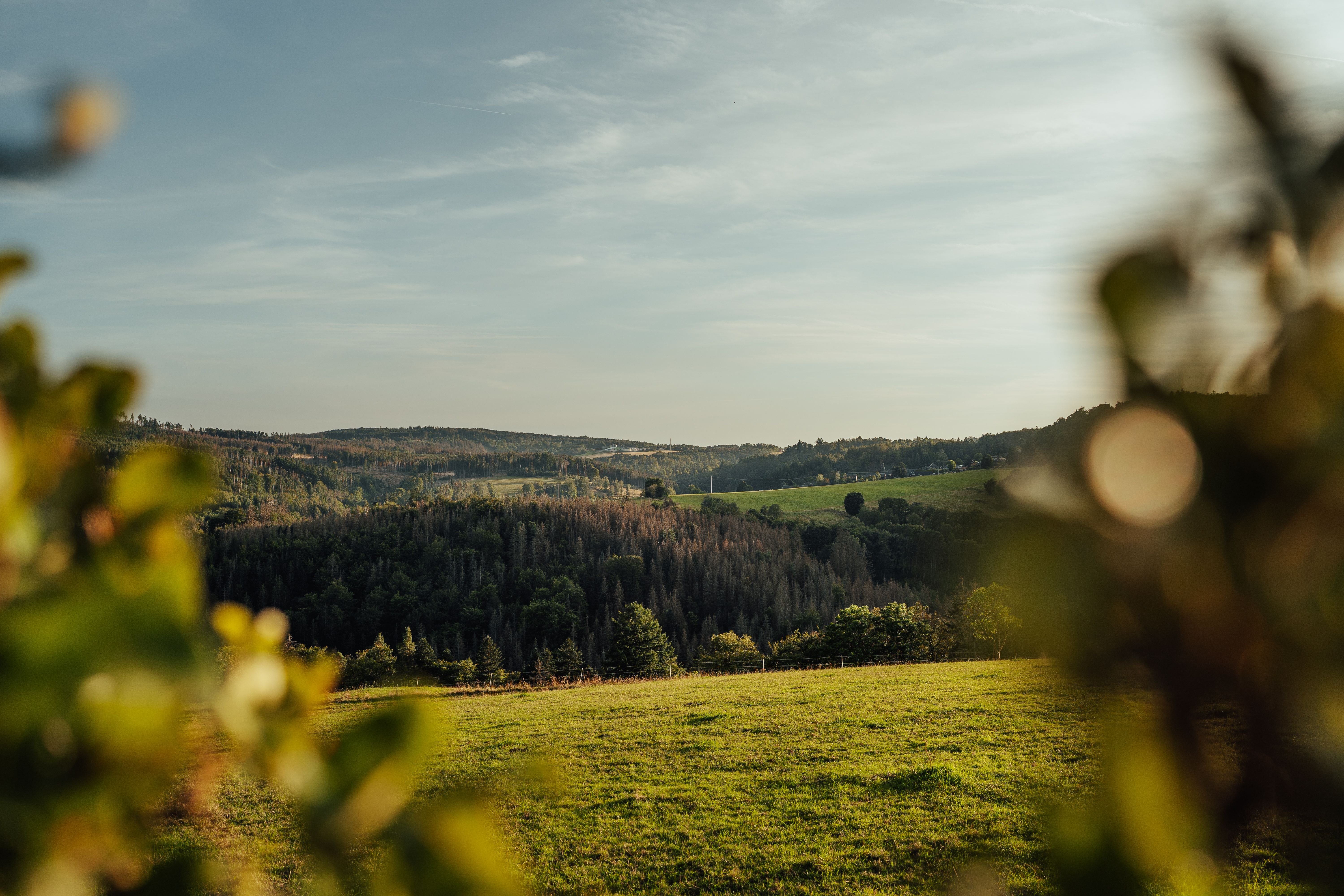 Limburg