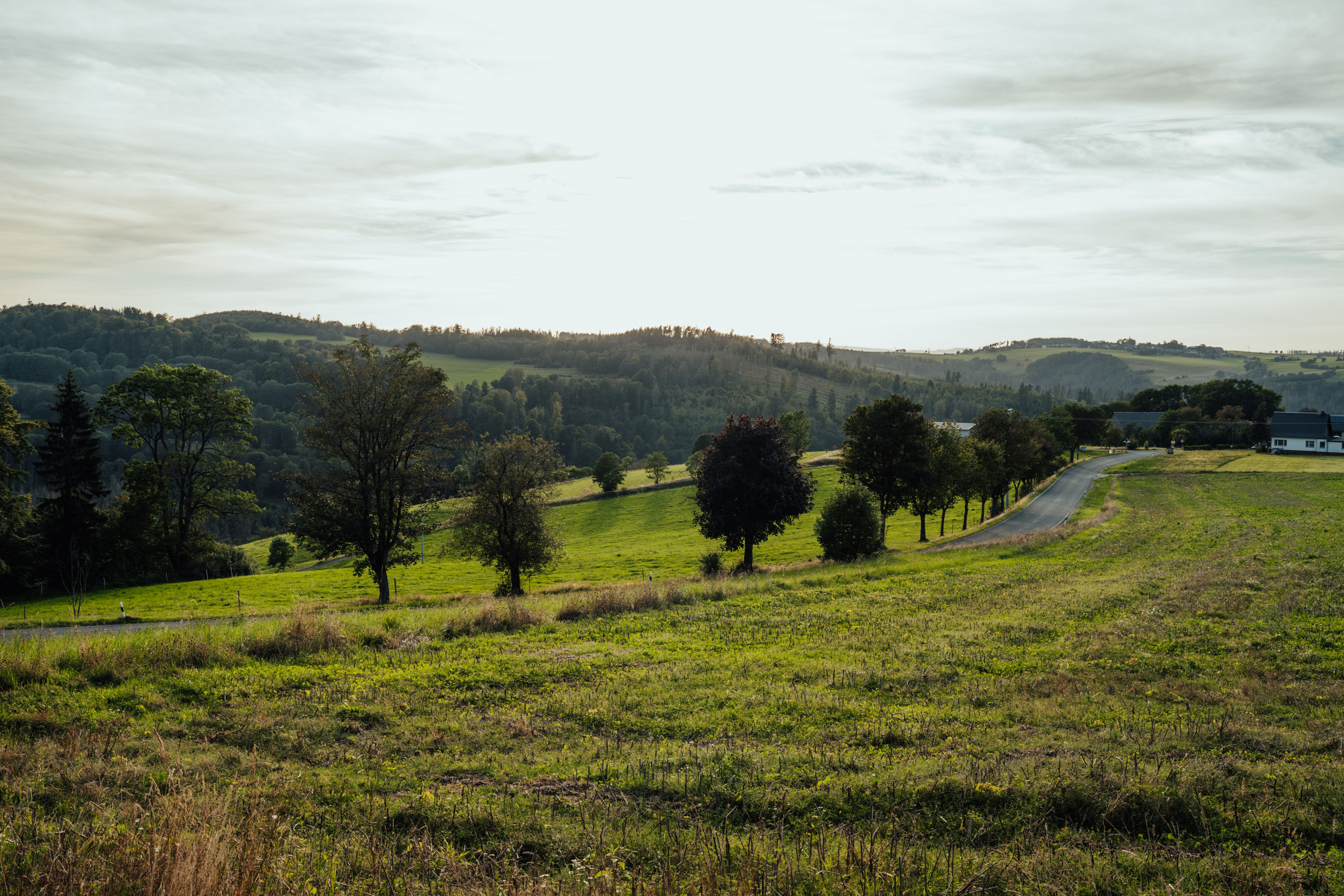 Malerische Naturlandschaft