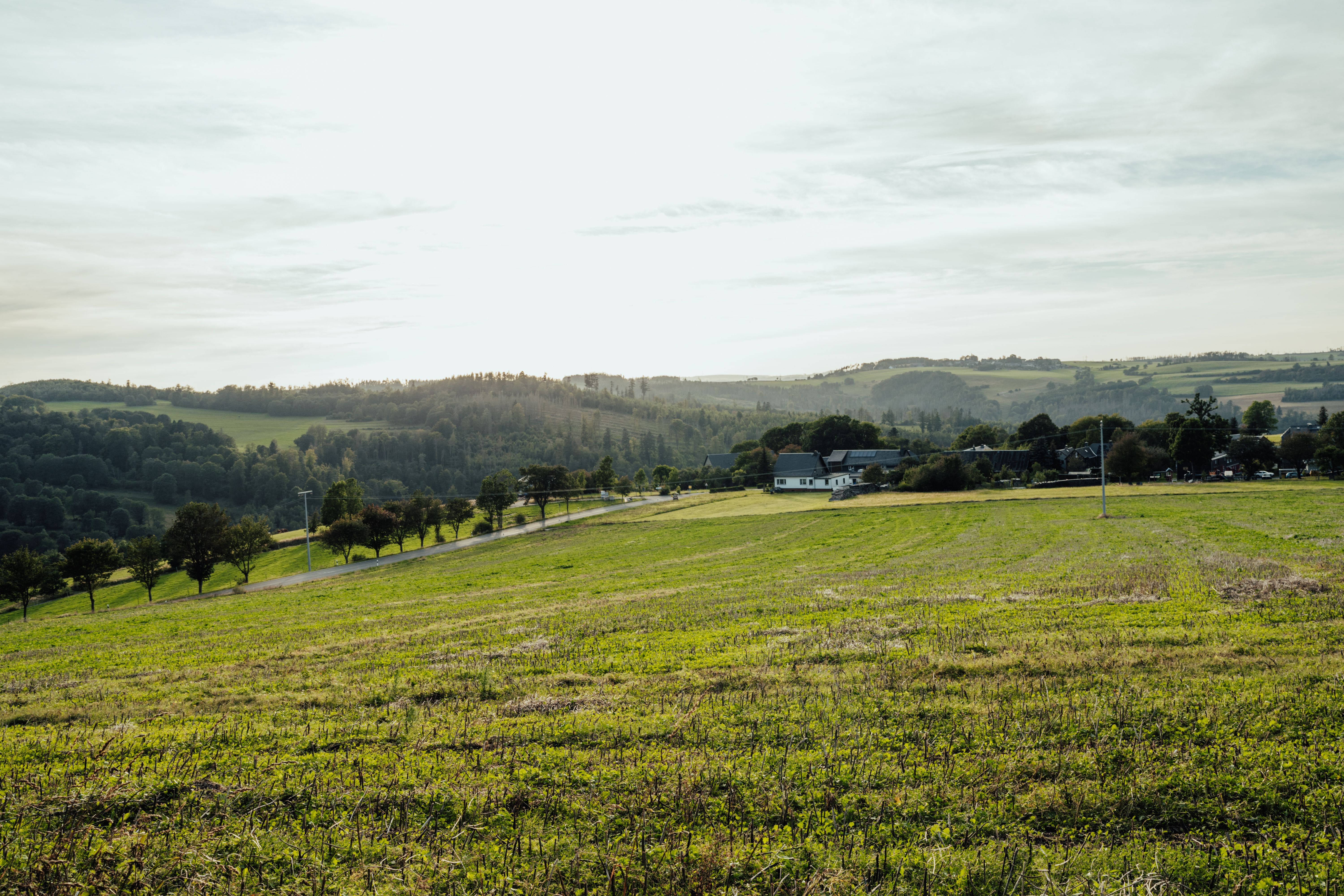 Rolling hills countryside
