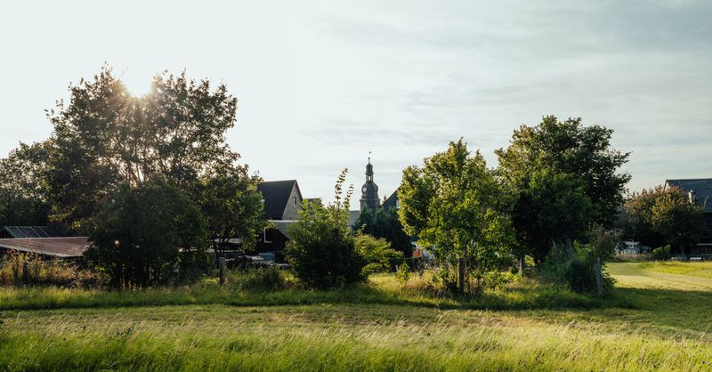 Ces villages qui renaissent grâce aux néo-ruraux : le vrai visage du retour au village
