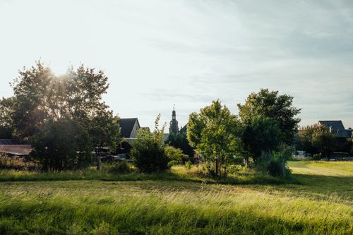 Free Sunlit countryside landscape with trees, grassy fields, and a distant church steeple. Stock Photo